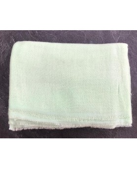 Pashmina in Puro Cashmere Verde Pallido