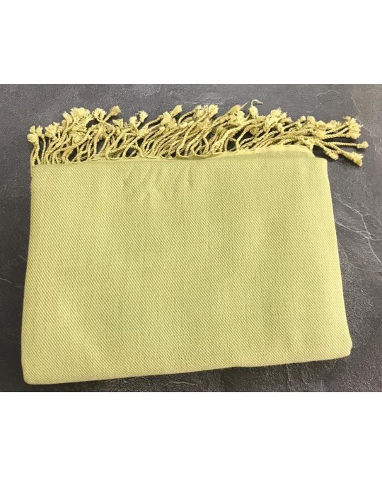 luxuriösen hellgrünen Kaschmir und Seiden-Pashmina