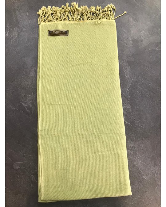 luxuriösen hellgrünen Kaschmir und Seiden-Pashmina