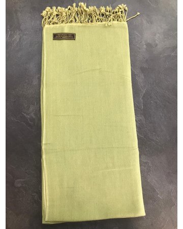 luxuriösen hellgrünen Kaschmir und Seiden-Pashmina