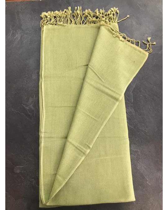 luxuriösen hellgrünen Kaschmir und Seiden-Pashmina