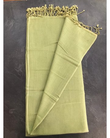 luxuriösen hellgrünen Kaschmir und Seiden-Pashmina