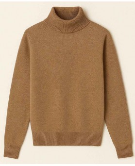 Pull col roulé en cachemire Homme Café